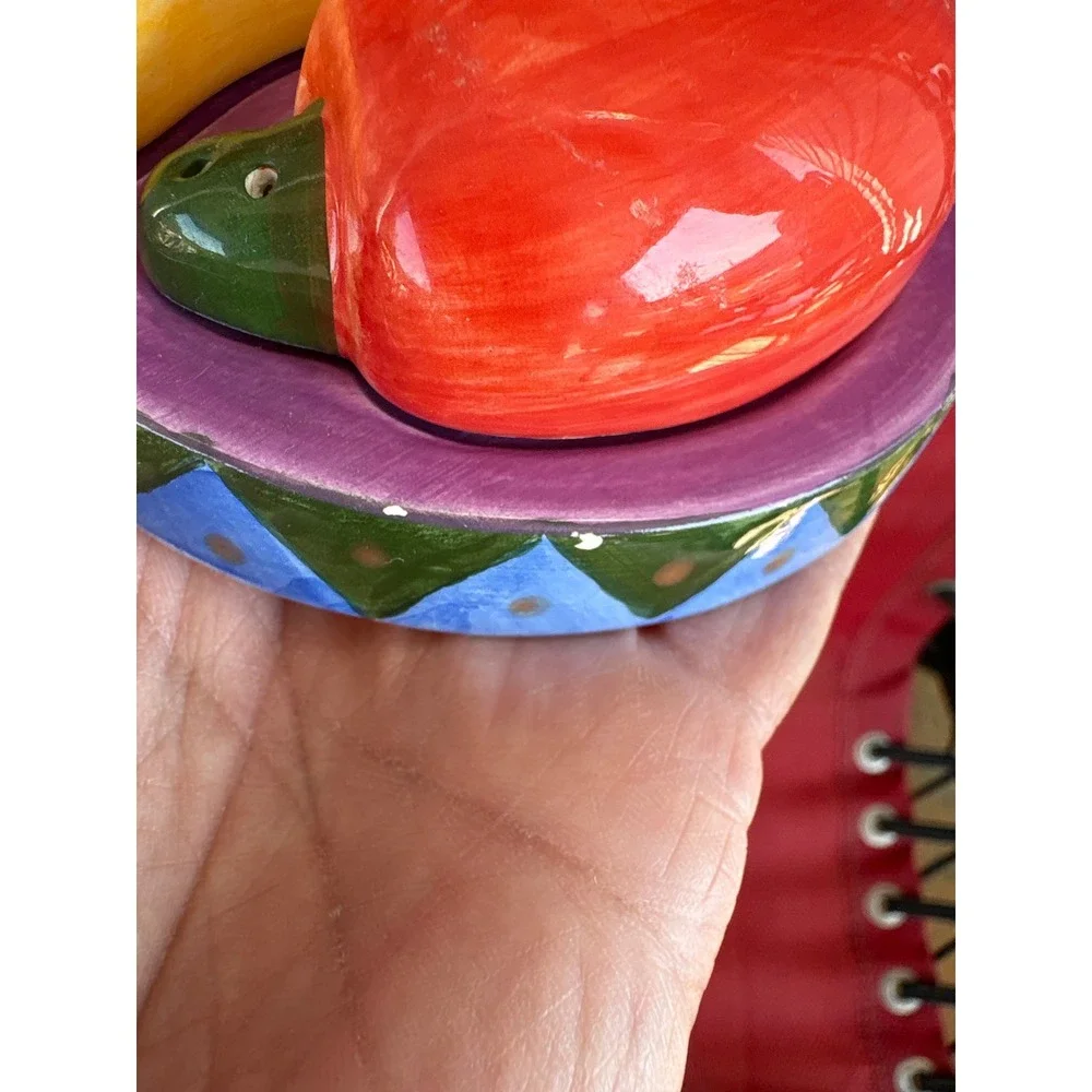 Colorful Ceramic Salt and Pepper Shaker Set with Chili Pepper Tray 5 Piece Set